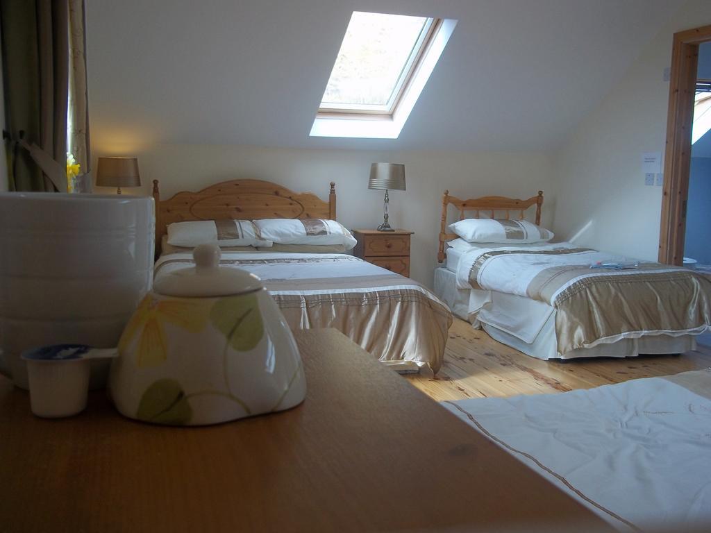 Mountainview B&B Leenaun Rum bild